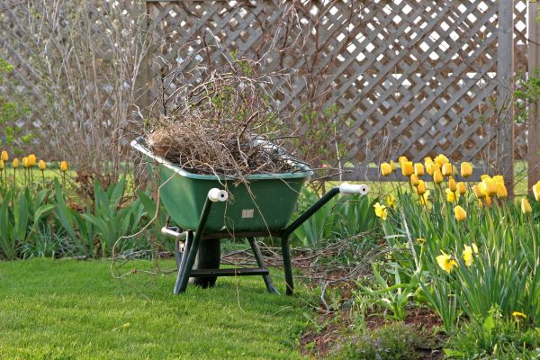 Flower Bed Cleanup Service in Valrico
