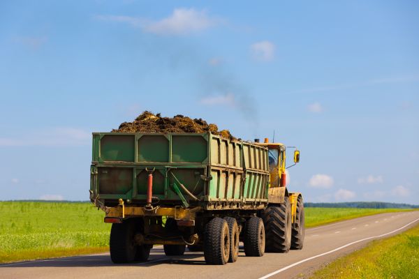 Bulk Soil Delivery in Valrico