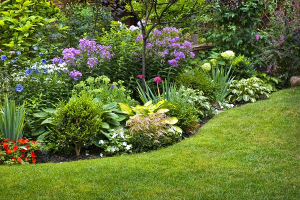 Flower Bed Service in Valrico