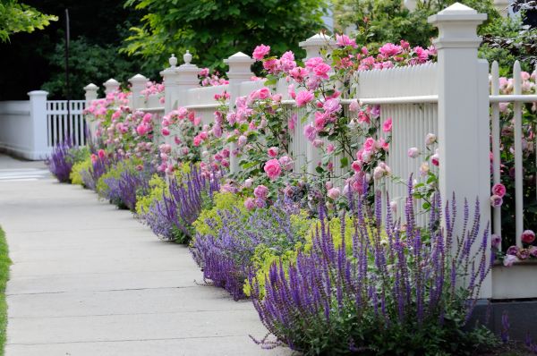 Garden Handyman Service in Valrico
