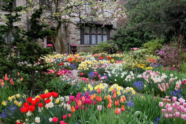 Garden Maintenance Service in Valrico
