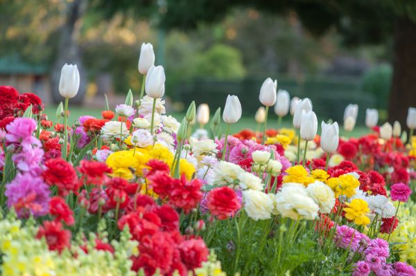 Gardening Service in Valrico