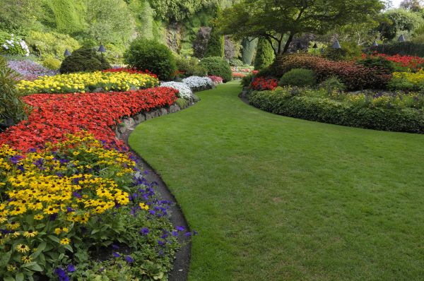 Landscaping Maintenance in Valrico
