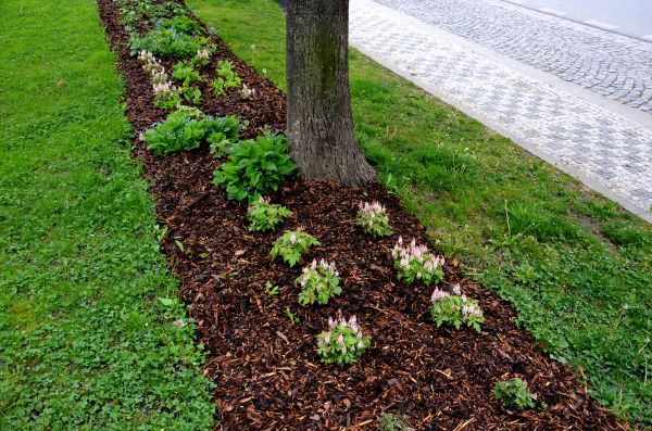 Mulch Replacement Service in Valrico
