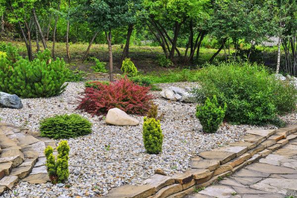 Rock Landscaping in Valrico