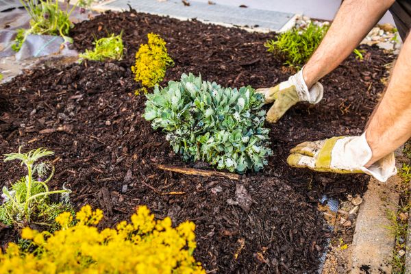 Weeding And Mulching in Valrico