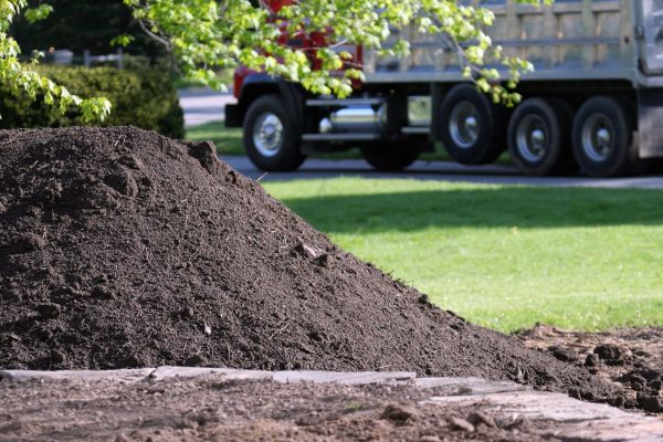 Yard Dirt Delivery in Valrico