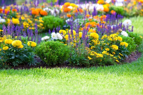 Garden Installation in Valrico