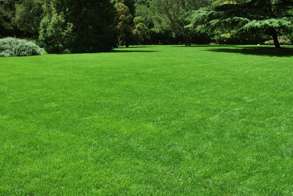 Lawn Landscaping in Valrico