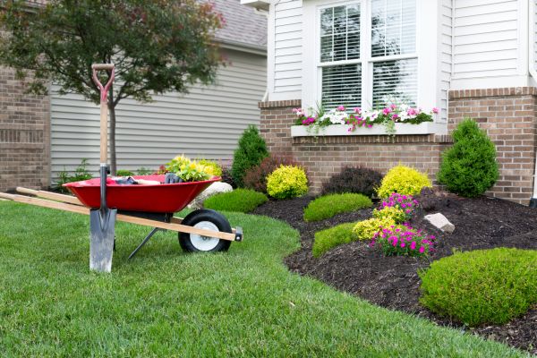 Landscape Maintenance Service in Valrico