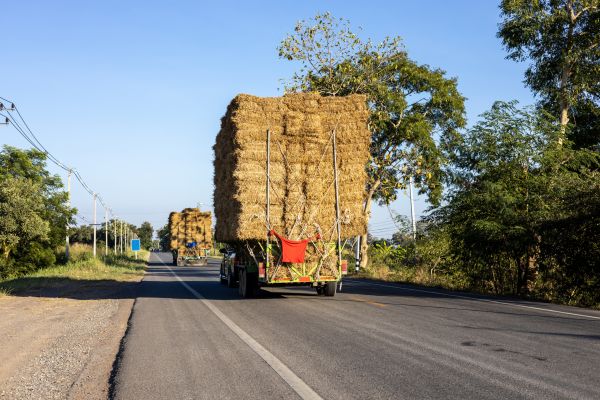Pine Straw Delivery in Valrico
