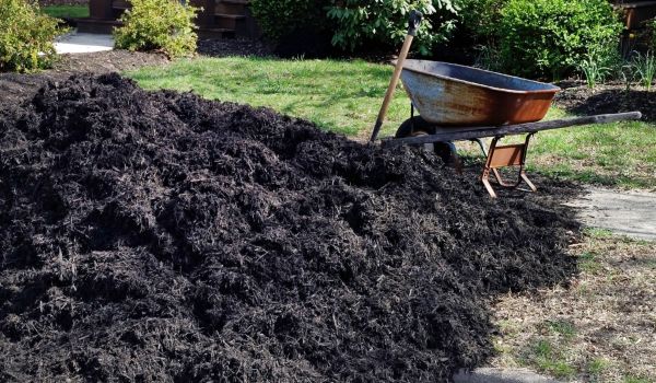 Black Mulch Delivery in Valrico