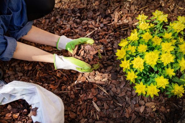Garden Mulching in Valrico