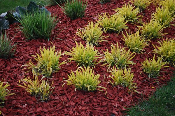 Mulch Landscaping in Valrico