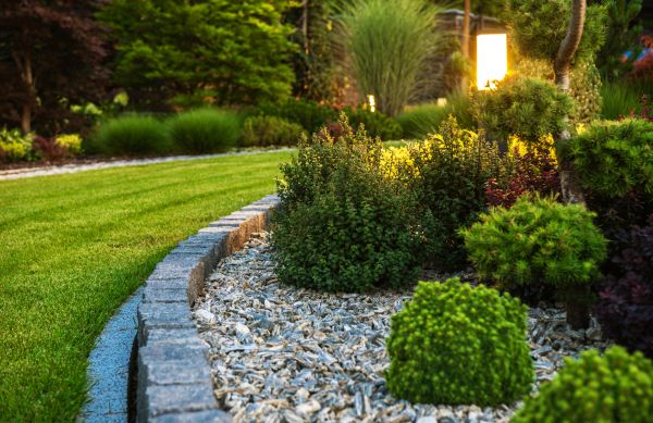 Home Landscaping in Valrico