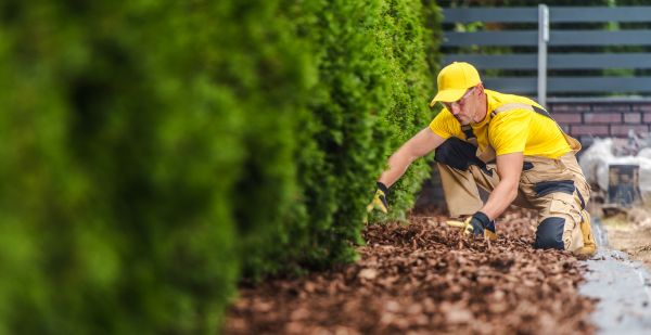 Cypress Mulch Installation in Valrico