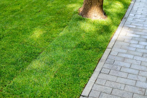 Border Stone Installation in Valrico
