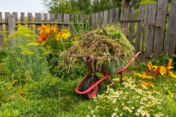 Garden Cleanup Service in Valrico