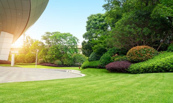 Business Landscape Design in Valrico