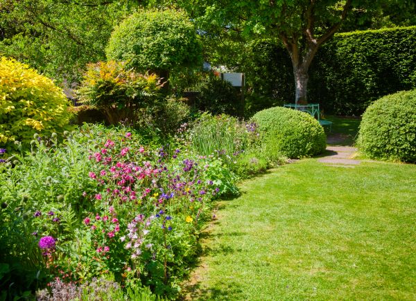 Yard Landscaping Service in Valrico