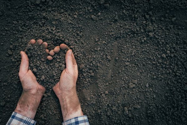 Soil Installation in Valrico