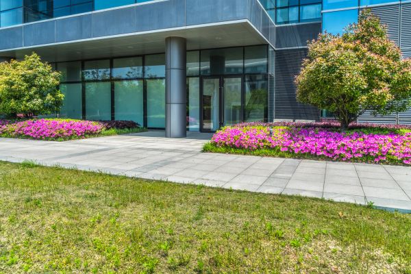 Commercial Gardening in Valrico