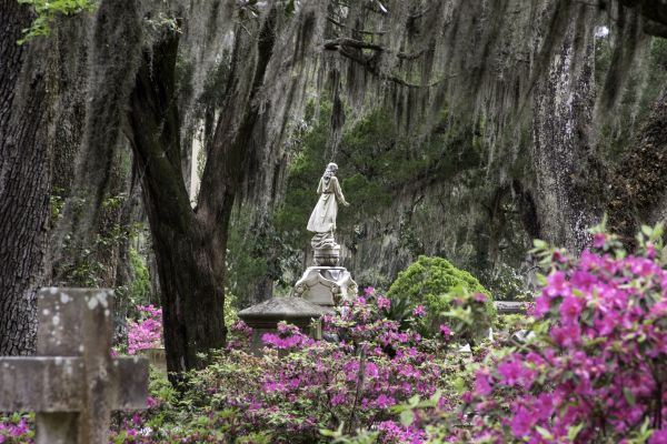 Cemetery Landscaping in Valrico