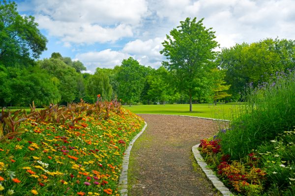 Park Landscaping in Valrico