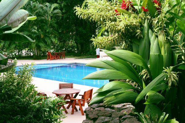 Tropical Garden Landscaping in Valrico