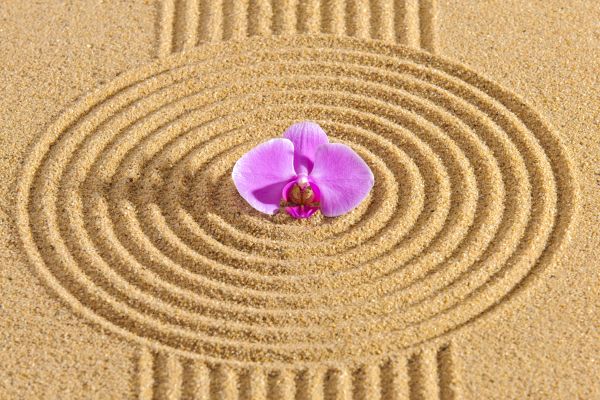 Sand Garden Landscaping in Valrico