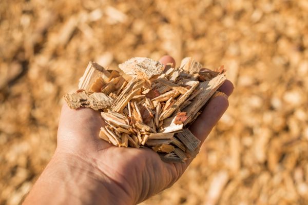 Wood Chips Spreading in Valrico