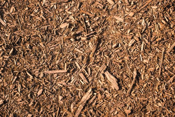 Wood Chips Removal in Valrico