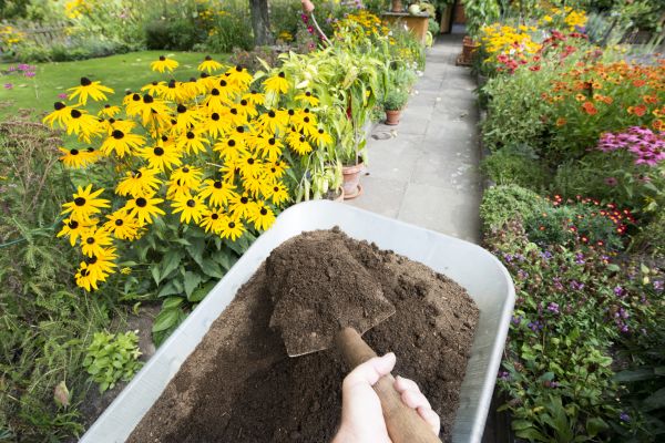 Topsoil Replacement in Valrico