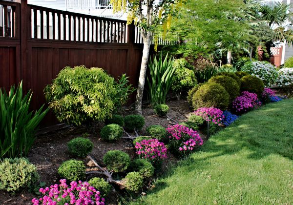 Garden Bed Construction in Valrico