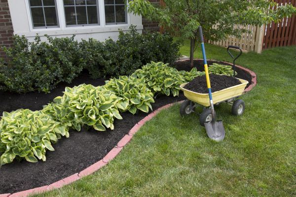Landscape Mulching in Valrico