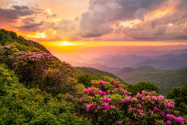 Hill Landscaping in Valrico