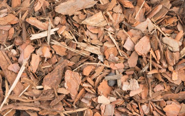 Pine Bark Shipping