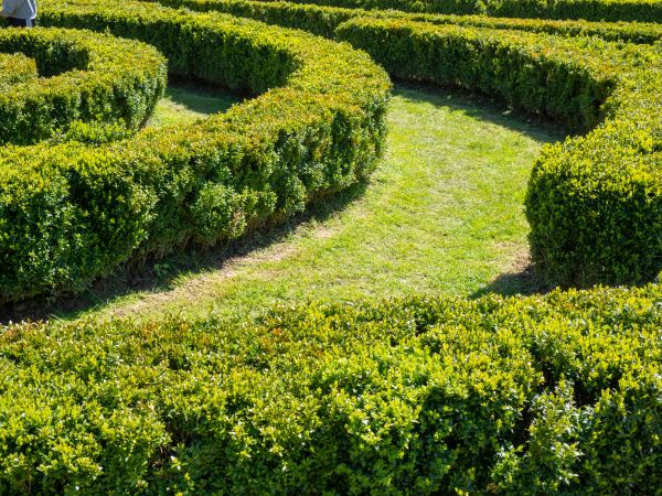 Bush Landscaping in Valrico