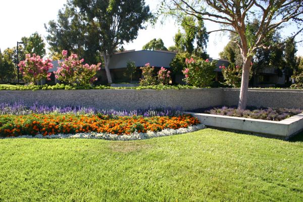 Commercial Landscape Service in Valrico