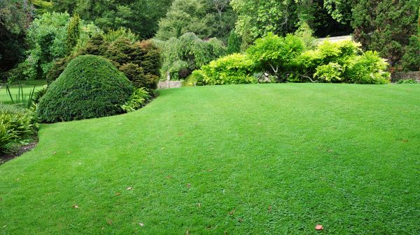 Commercial Landscape Design in Valrico
