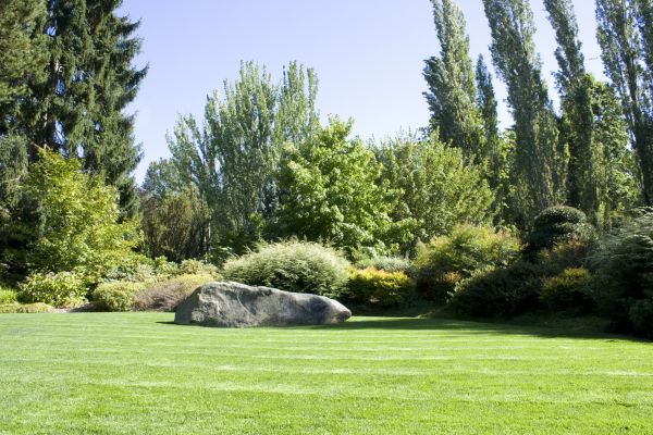 Yard Enlargement in Valrico
