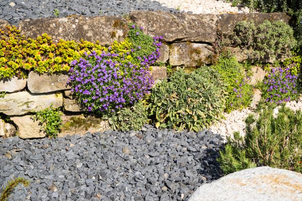 Landscaping Rocks Installation in Valrico