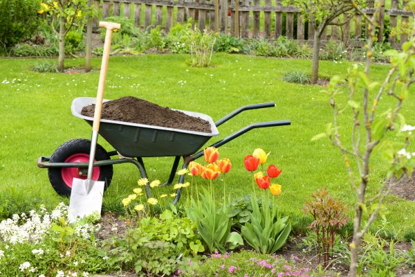 Spring Yard Renovation in Valrico