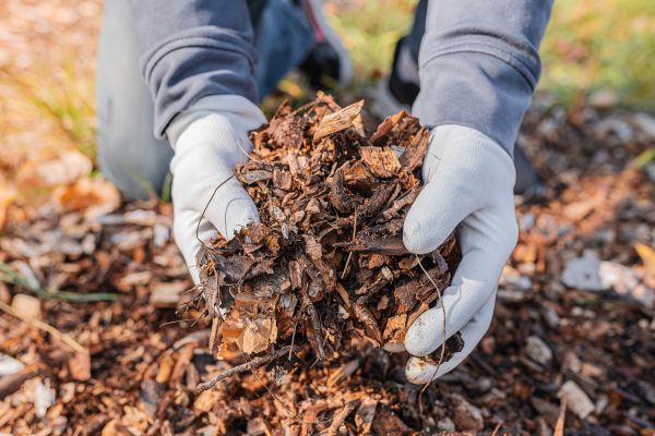 Shredded Mulch Installation in Valrico
