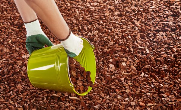 Wood Chip Landscaping in Valrico