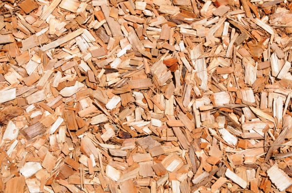 Cypress Mulch Spreading in Valrico