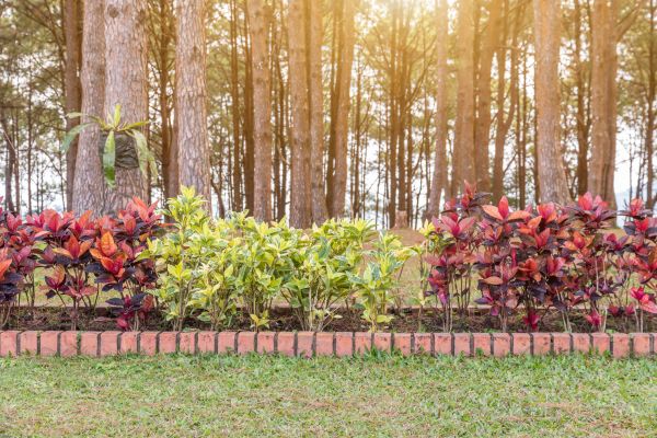 Small Garden Landscaping in Valrico
