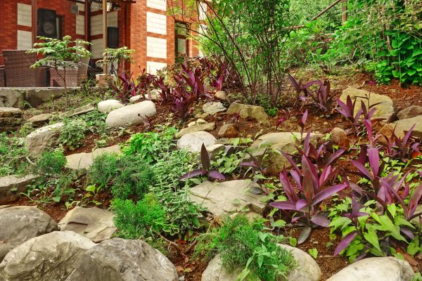 Rock Garden Landscaping in Valrico