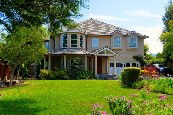 Large Yard Landscaping in Valrico
