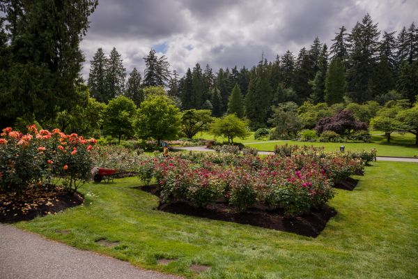 Flower Garden Landscaping in Valrico